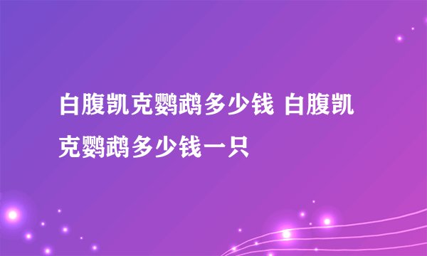 白腹凯克鹦鹉多少钱 白腹凯克鹦鹉多少钱一只