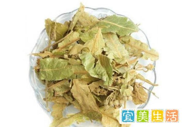 什么是叶茶