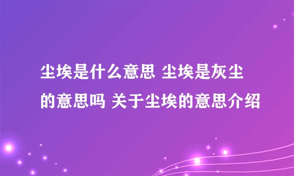 尘埃是什么意思 尘埃是灰尘的意思吗 关于尘埃的意思介绍