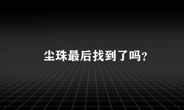 雮尘珠最后找到了吗？