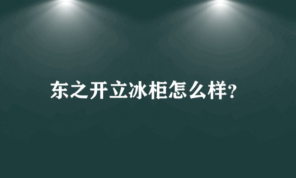 东之开立冰柜怎么样？