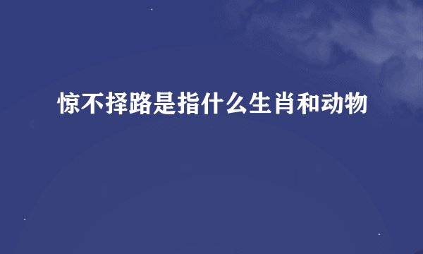 惊不择路是指什么生肖和动物