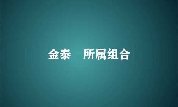 金泰旻所属组合