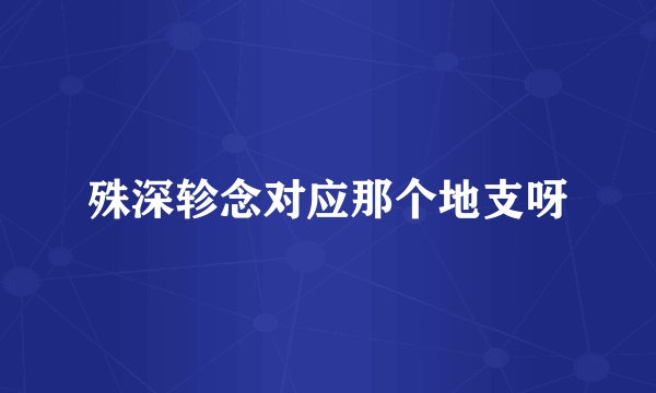 殊深轸念对应那个地支呀