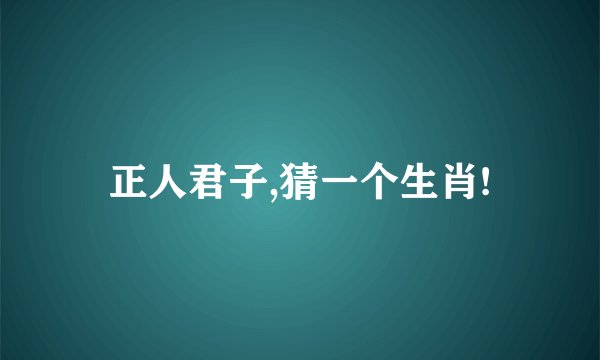 正人君子,猜一个生肖!