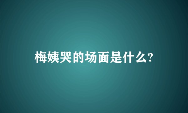 梅姨哭的场面是什么?