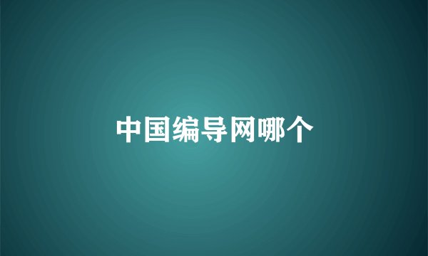 中国编导网哪个