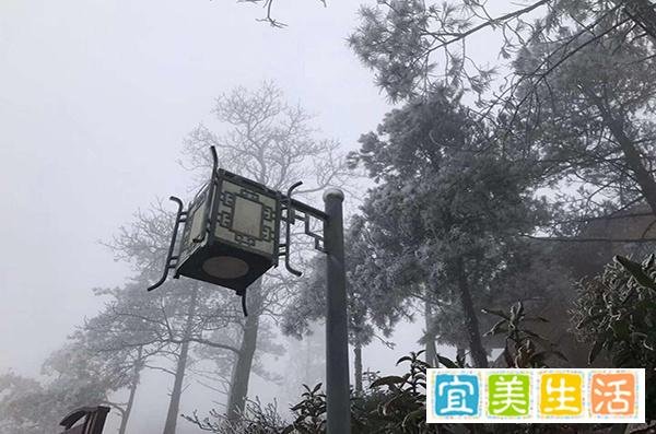 又小雪