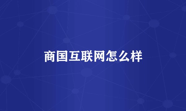 商国互联网怎么样