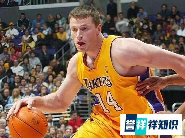 斯坦尼斯拉夫·梅德维登科,退役后从政的乌克兰大前锋