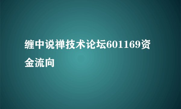 缠中说禅技术论坛601169资金流向