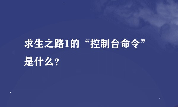 求生之路1的“控制台命令”是什么？