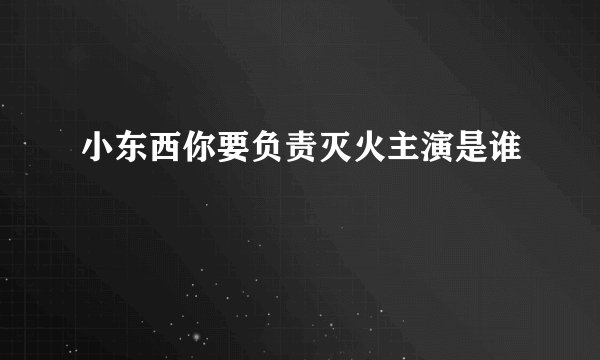 小东西你要负责灭火主演是谁