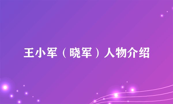王小军（晓军）人物介绍