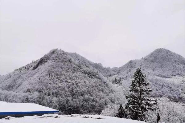 杭州下雪的地方