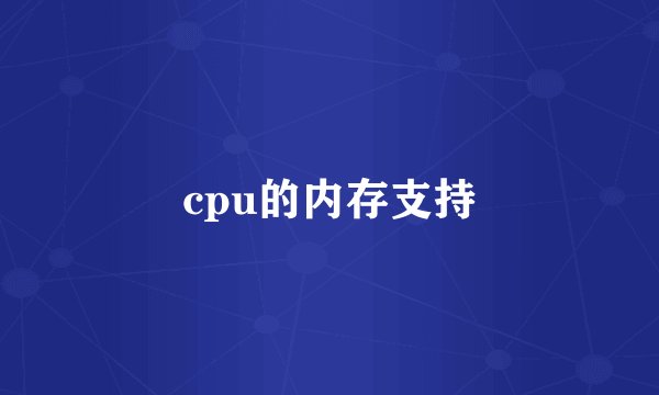 cpu的内存支持