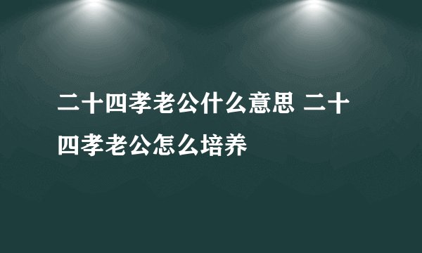 二十四孝老公什么意思 二十四孝老公怎么培养