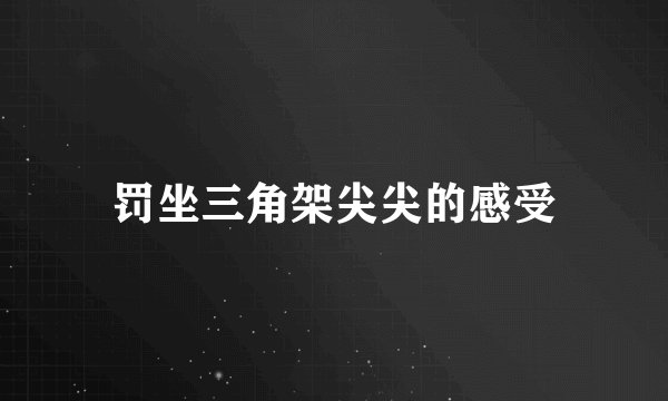 罚坐三角架尖尖的感受