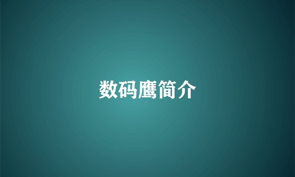 数码鹰简介
