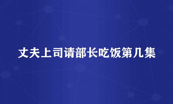 丈夫上司请部长吃饭第几集
