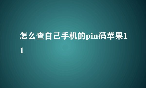 怎么查自己手机的pin码苹果11
