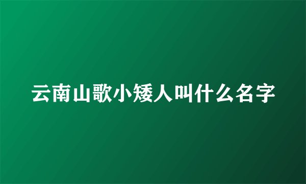 云南山歌小矮人叫什么名字