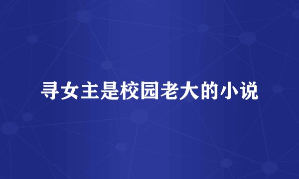 寻女主是校园老大的小说