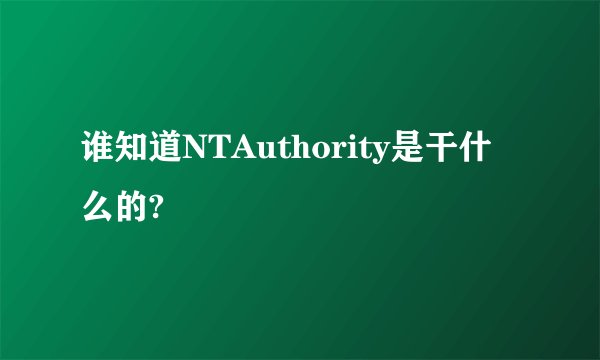 谁知道NTAuthority是干什么的?