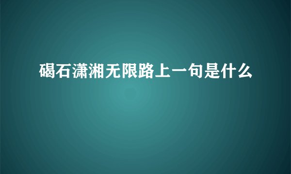 碣石潇湘无限路上一句是什么