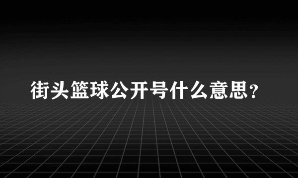 街头篮球公开号什么意思？