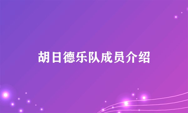 胡日德乐队成员介绍