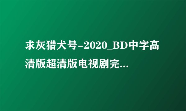 求灰猎犬号-2020_BD中字高清版超清版电视剧完整百度网盘链接下载