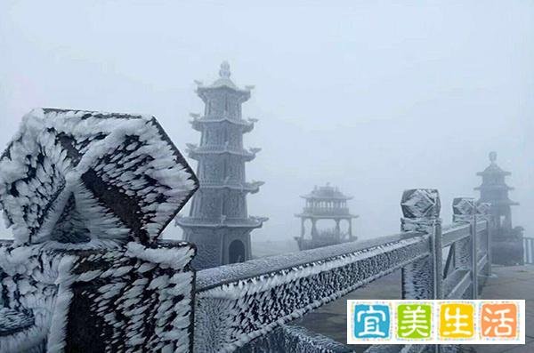 又小雪