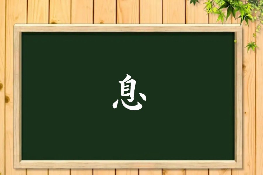 息组词大全