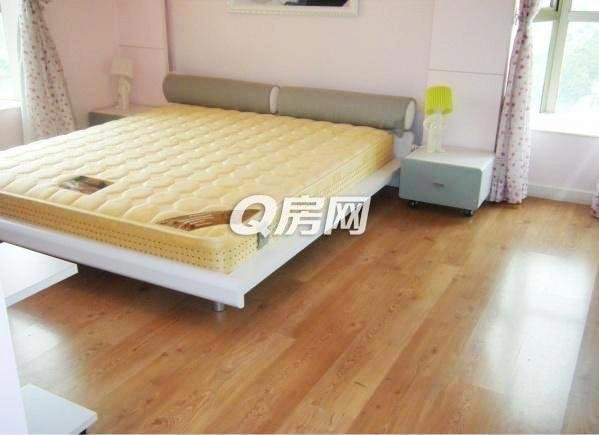 动Q网的介绍