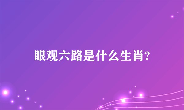眼观六路是什么生肖?