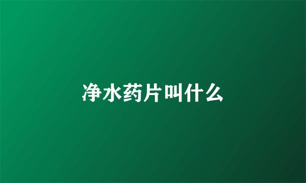净水药片叫什么