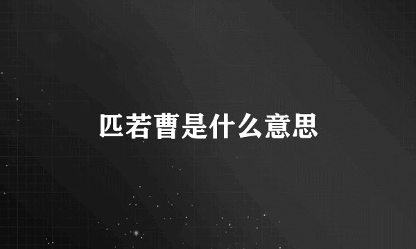 匹若曹是什么意思