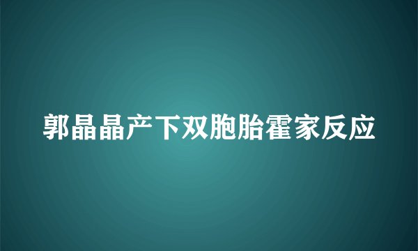 郭晶晶产下双胞胎霍家反应