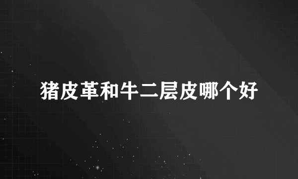 猪皮革和牛二层皮哪个好