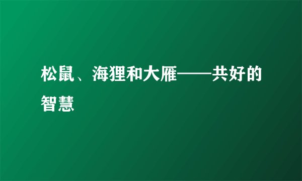 松鼠、海狸和大雁——共好的智慧