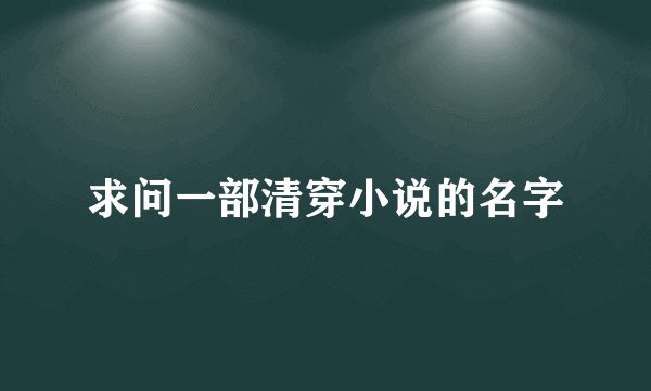 求问一部清穿小说的名字
