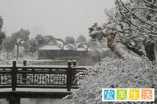又小雪