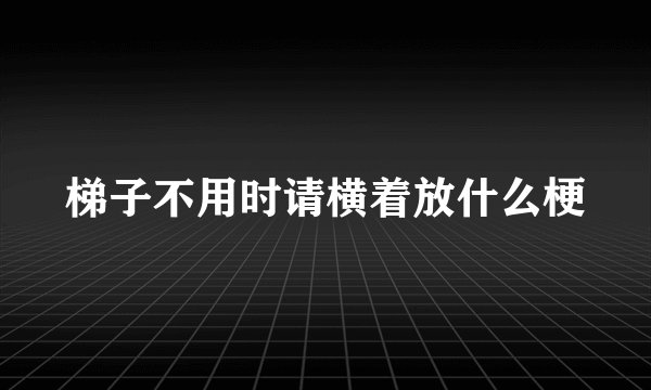 梯子不用时请横着放什么梗