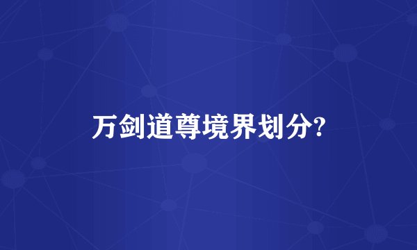 万剑道尊境界划分?