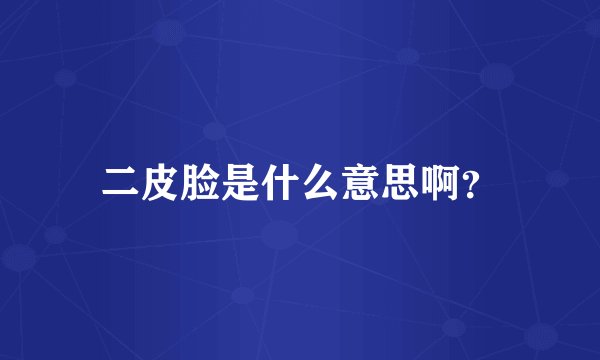 二皮脸是什么意思啊？
