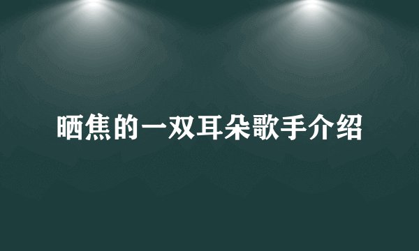 晒焦的一双耳朵歌手介绍