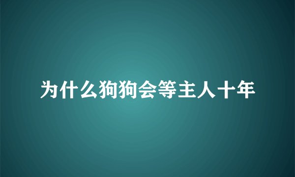 为什么狗狗会等主人十年