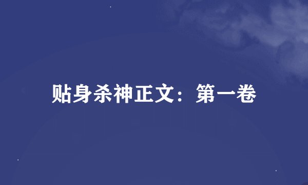 贴身杀神正文：第一卷