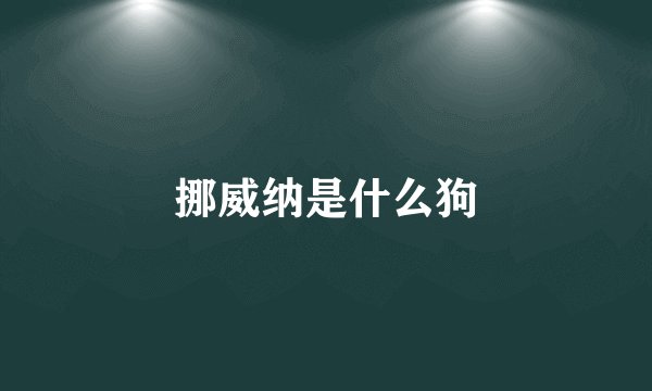 挪威纳是什么狗